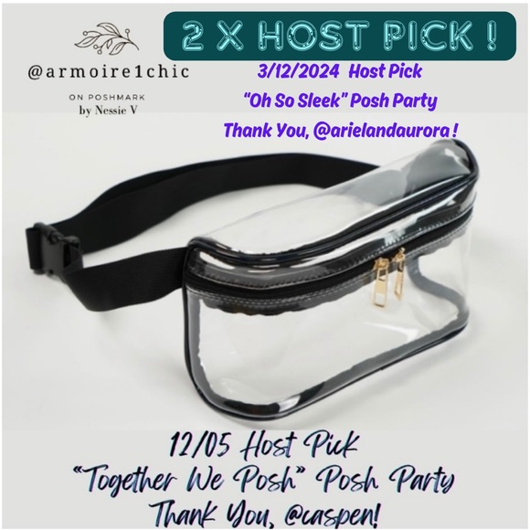 CLEAR FANNY PACK | Adjustable Plus Sized Waist| Stadium Approved | Waterproof - Picture 3 of 16